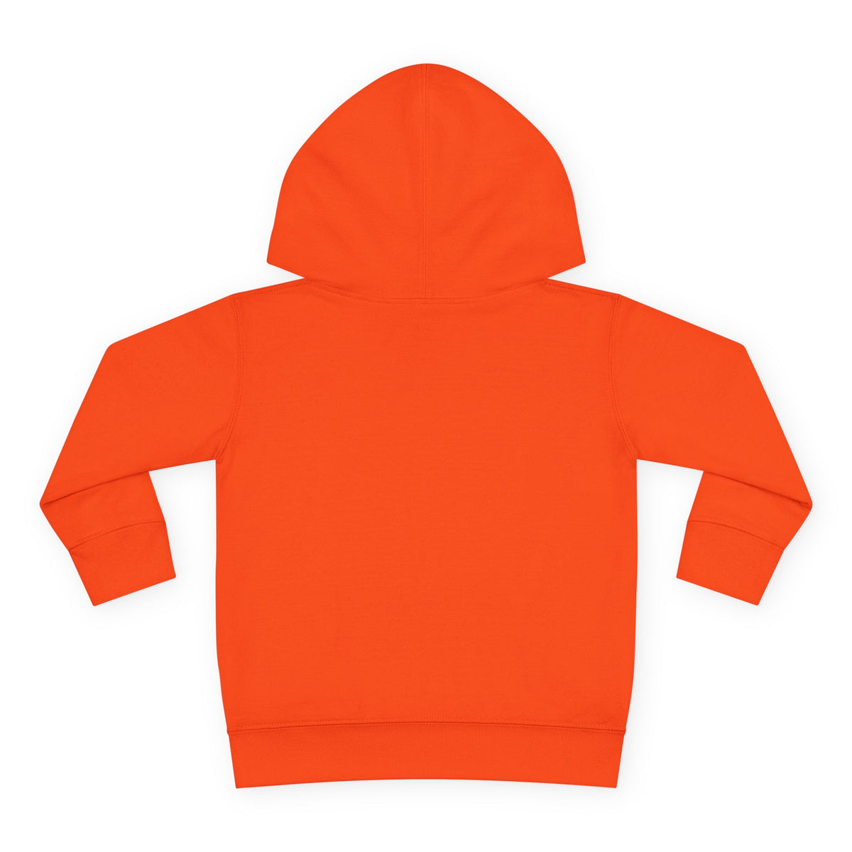 Cool Vibes Youth - Toddler Hoodie RS336