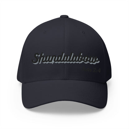 Unisex Acts 2:4 Cap - Embroidered