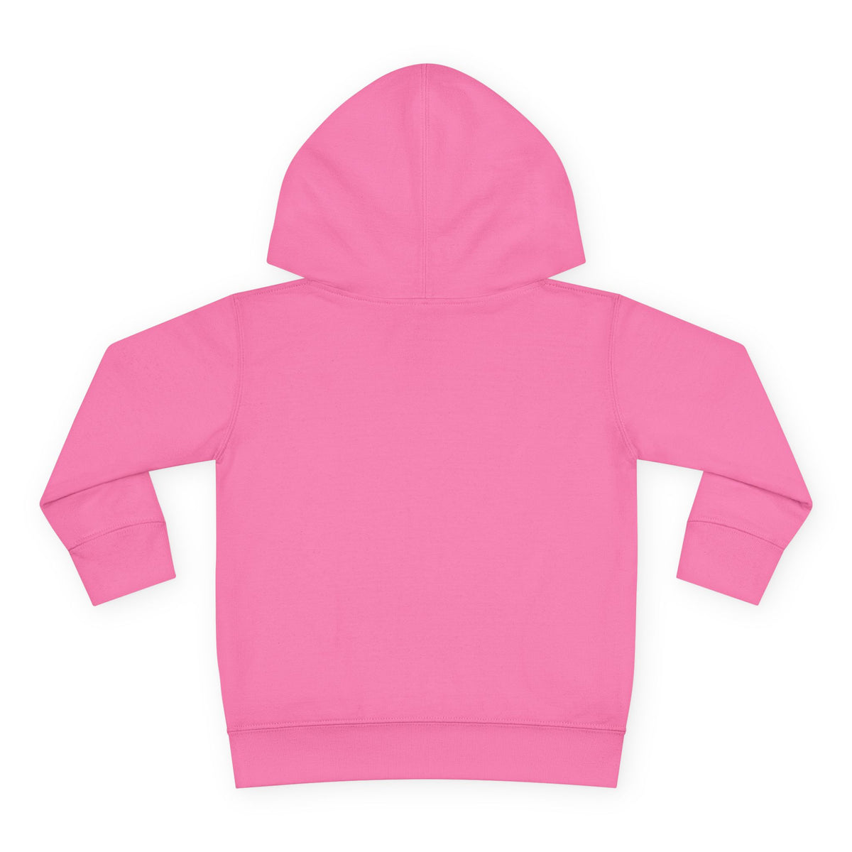 Cool Vibes Youth - Toddler Hoodie RS336