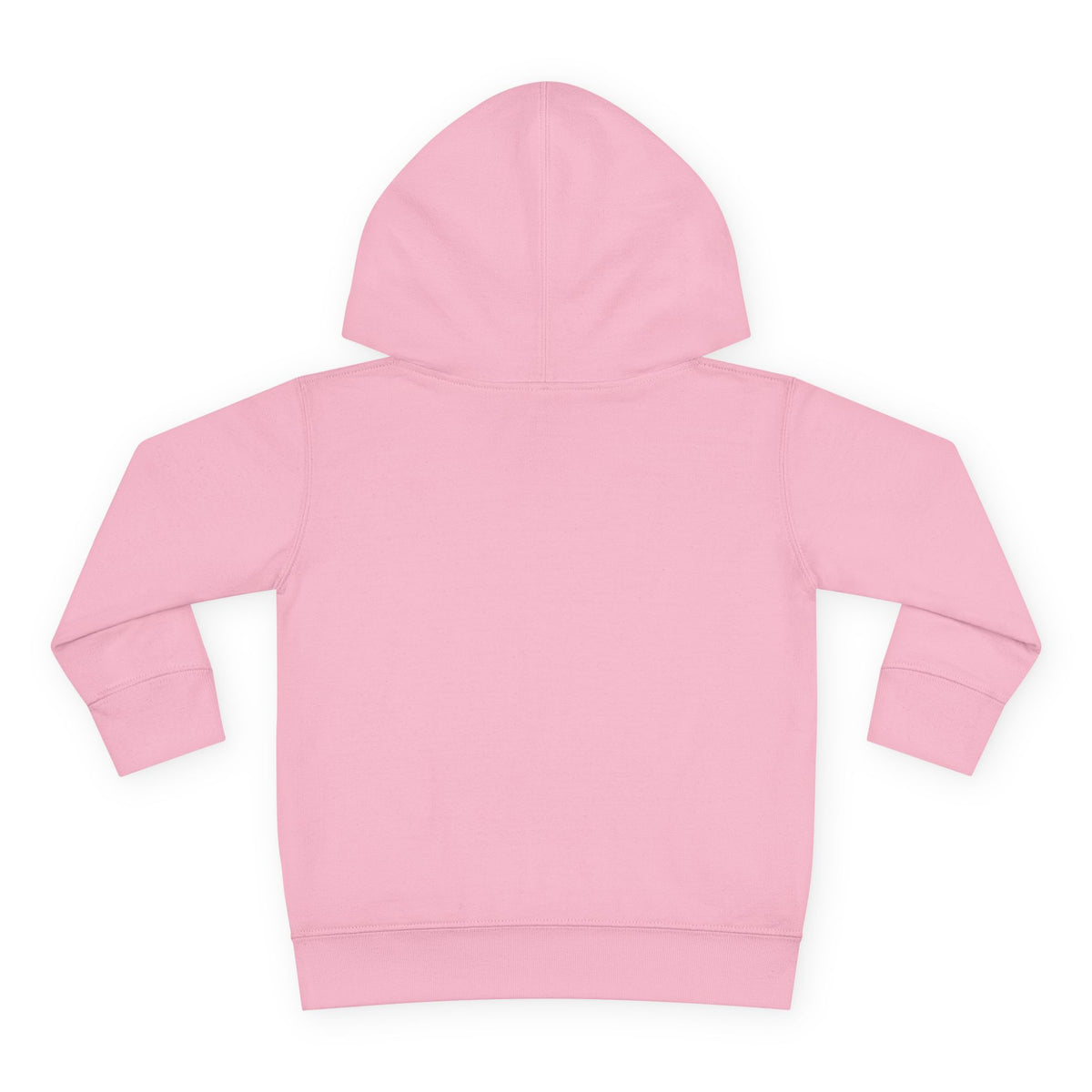 Cool Vibes Youth - Toddler Hoodie RS336