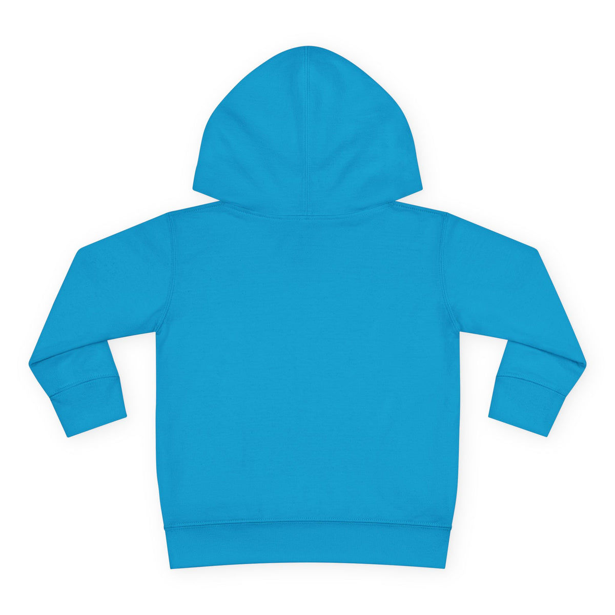 Cool Vibes Youth - Toddler Hoodie RS336